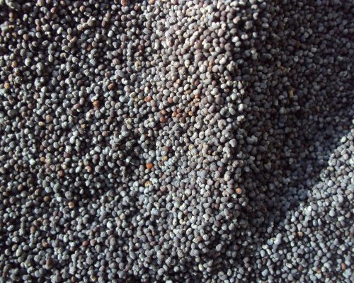 granule